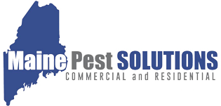 Maine Pest Solutions